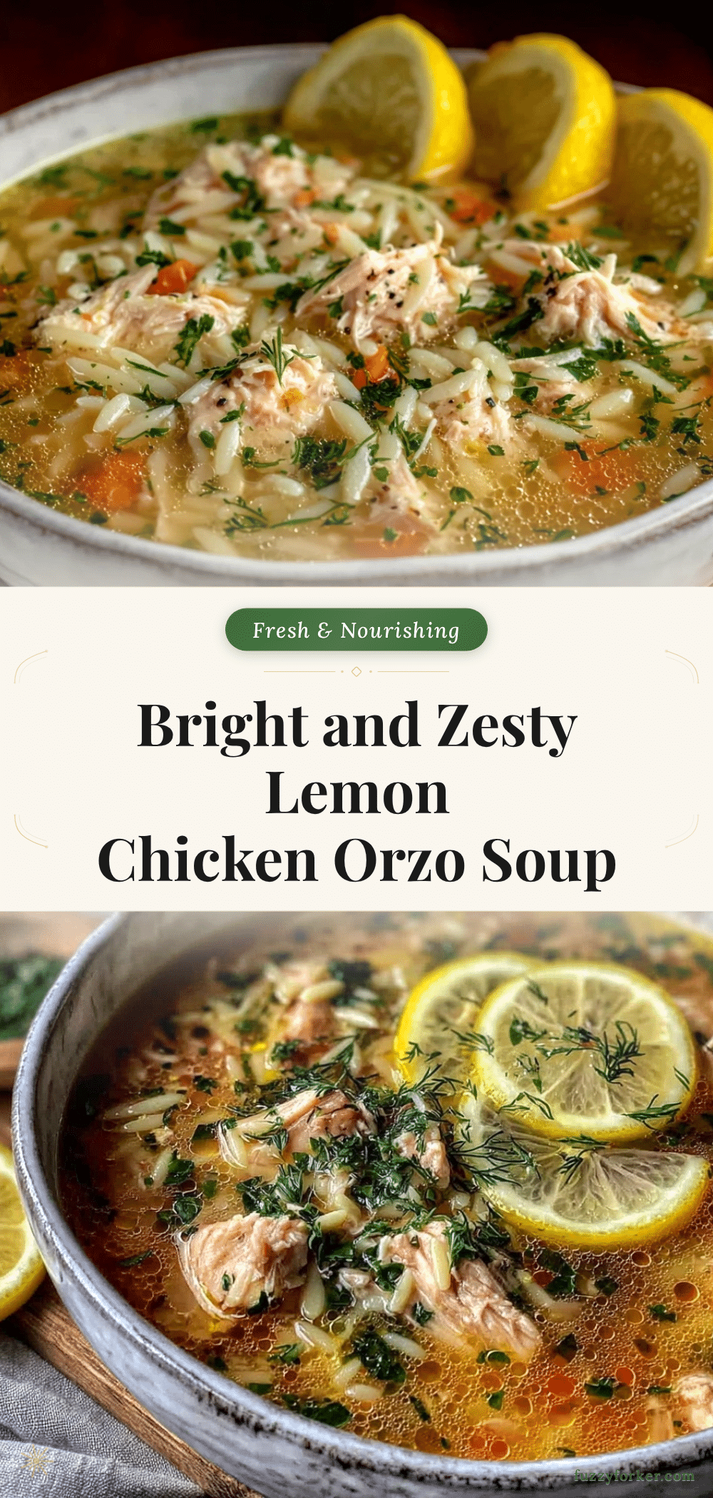 healthy lemon chicken orzo soup recipe