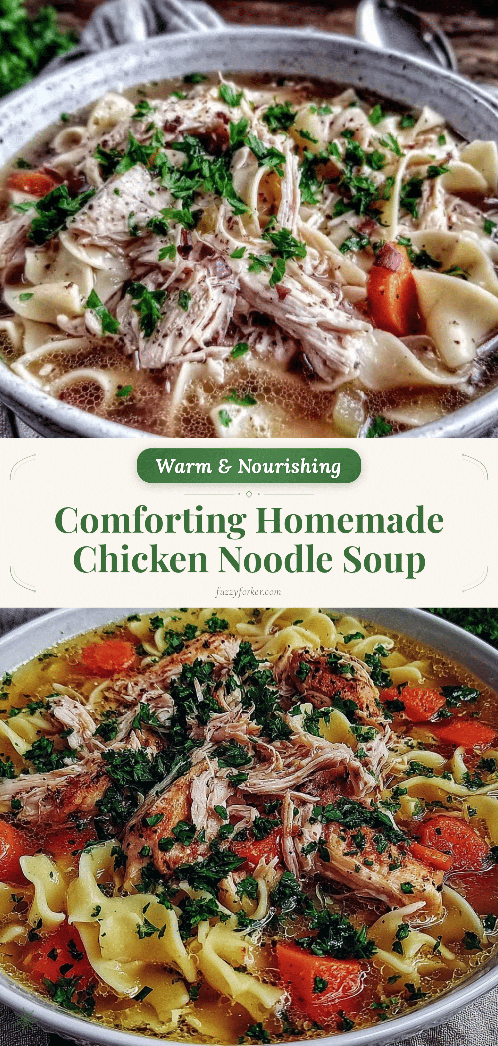 homemade chicken noodle soup recipe