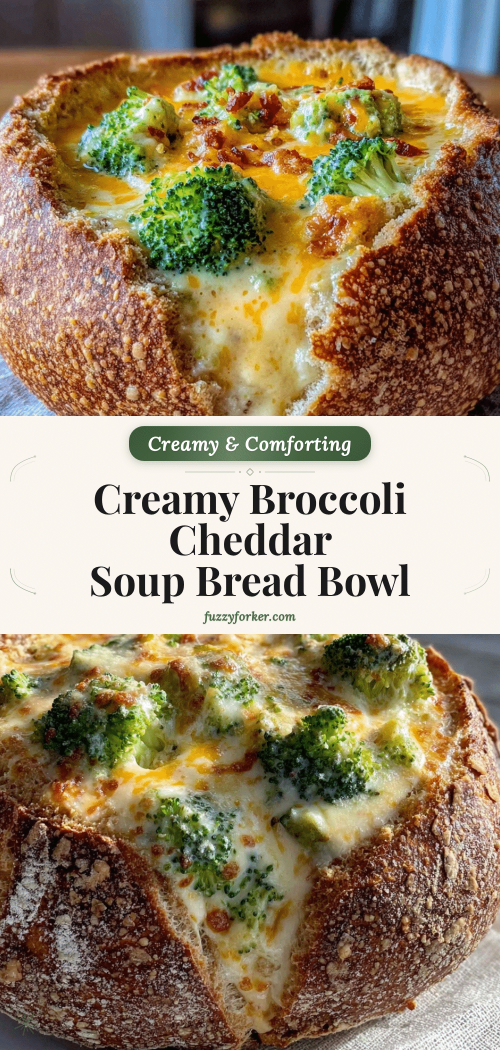 broccoli cheddar soup in bread bowl recipe