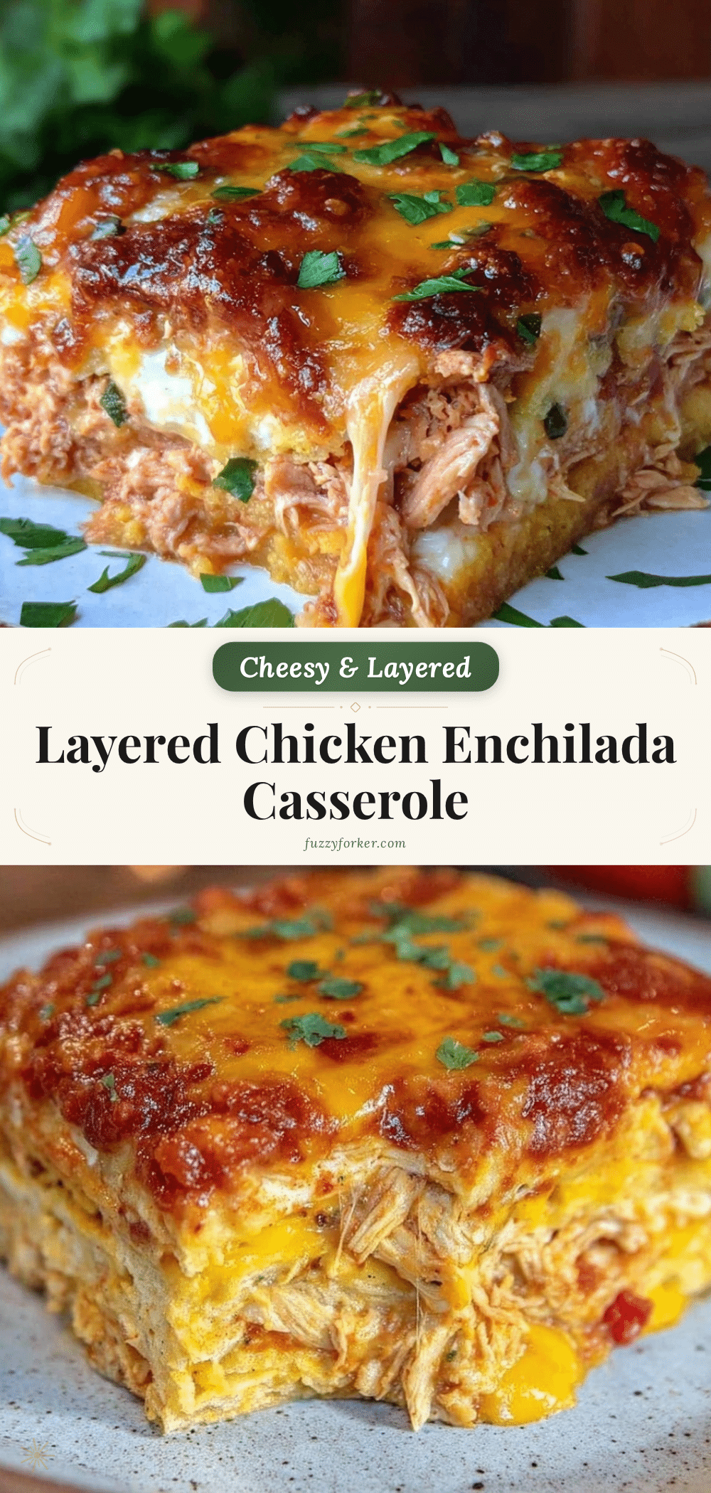 creamy chicken enchilada casserole recipe