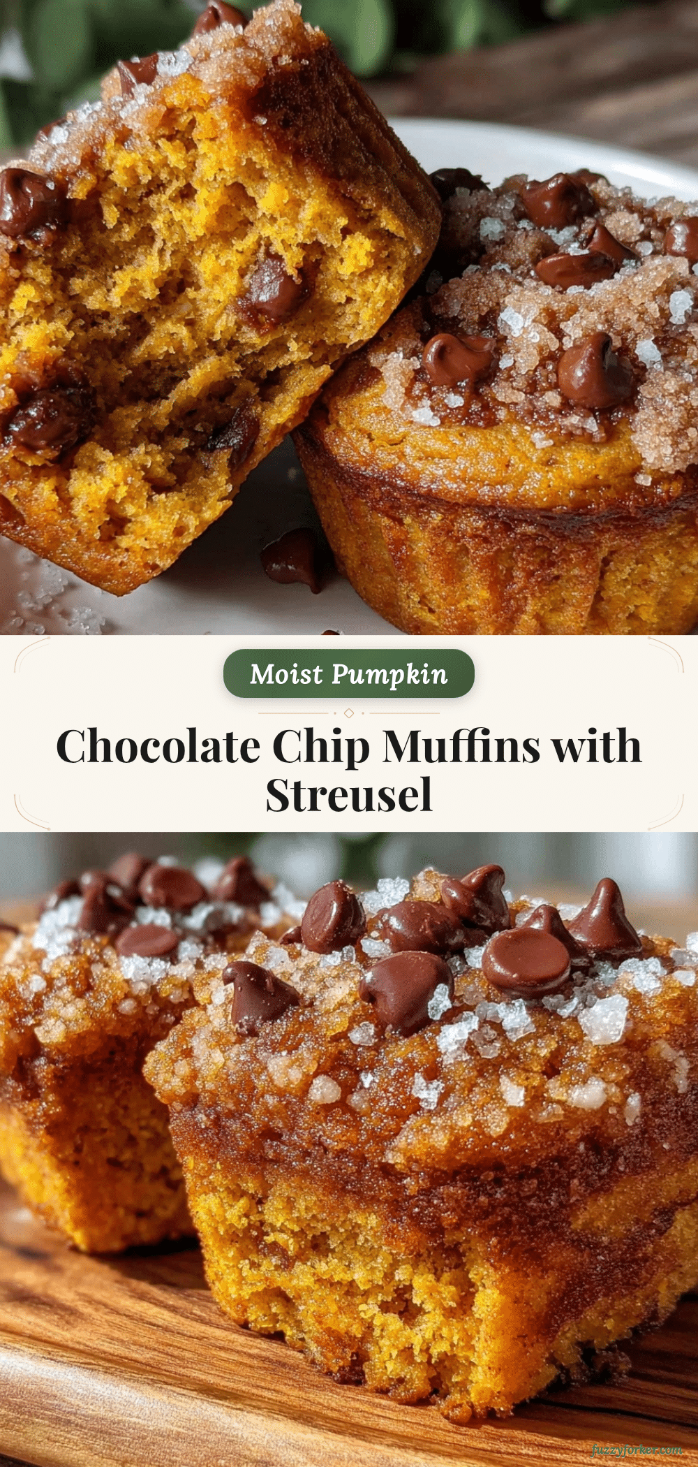 pumpkin chocolate chip muffins recipe