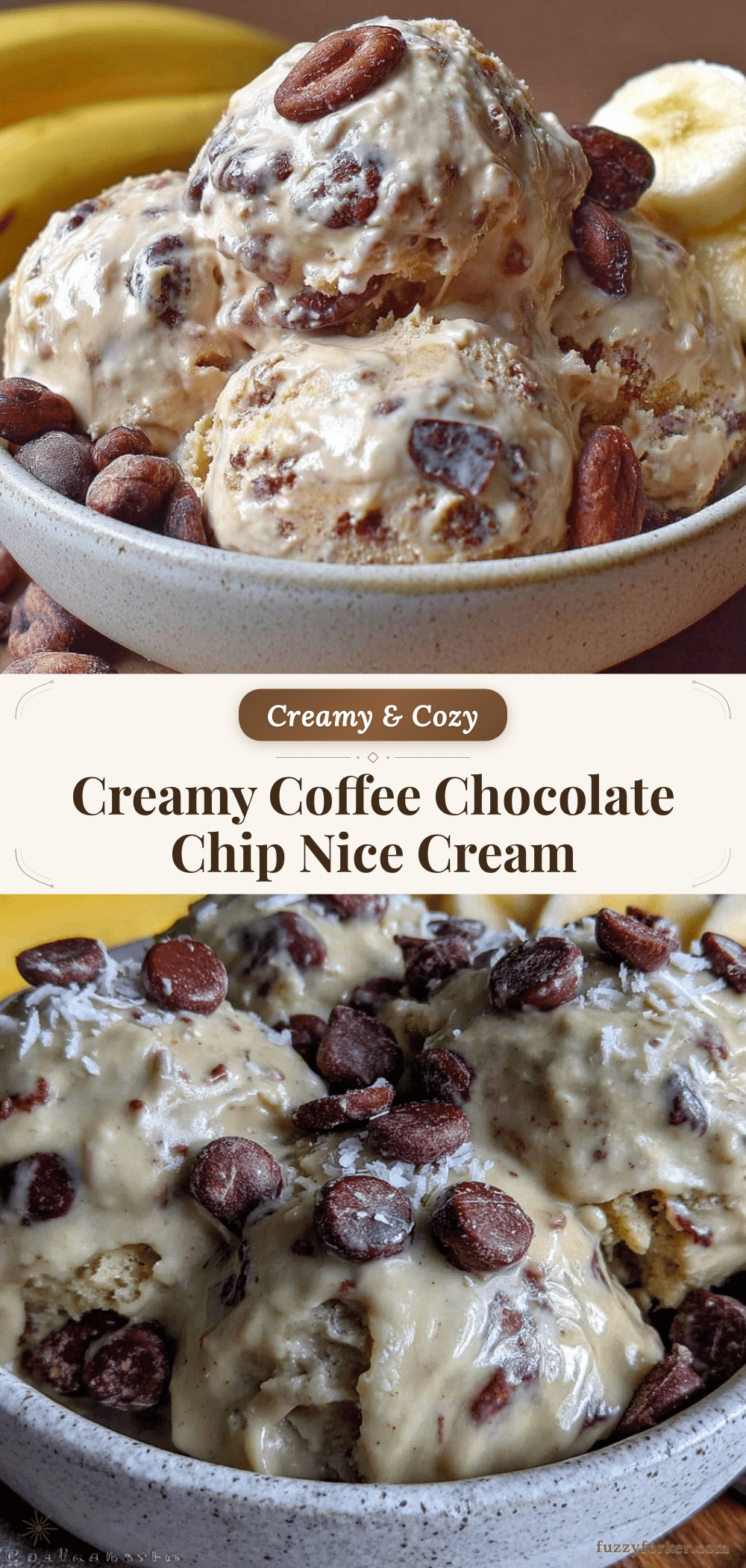 creamy coffee chocolate chip nice cream recipe